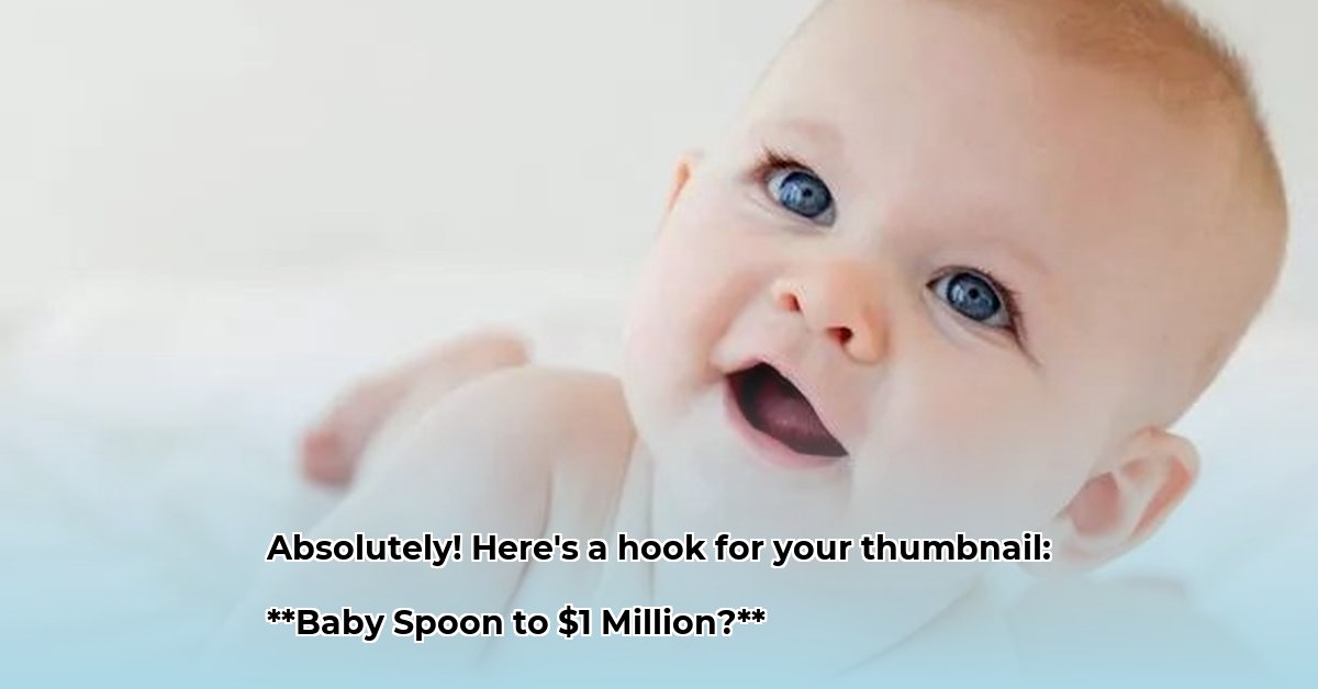 the-baby-toon-net-worth